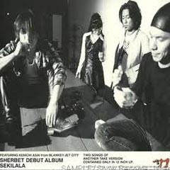 SHERBETS ANALOG 〜 浅井健一|SEXY STONES RECORDS